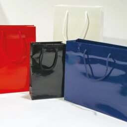 Immagine modello shopper plastificato lucido