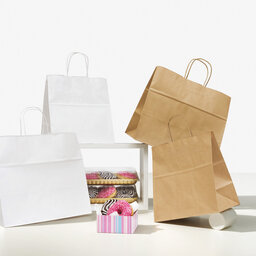 Immagine modello shopper take away maniglia ritorta