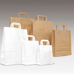 Immagine modello shopper economy maniglia piatta