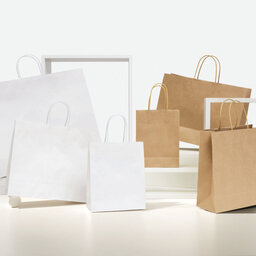 Immagine modello shopper senza stampa